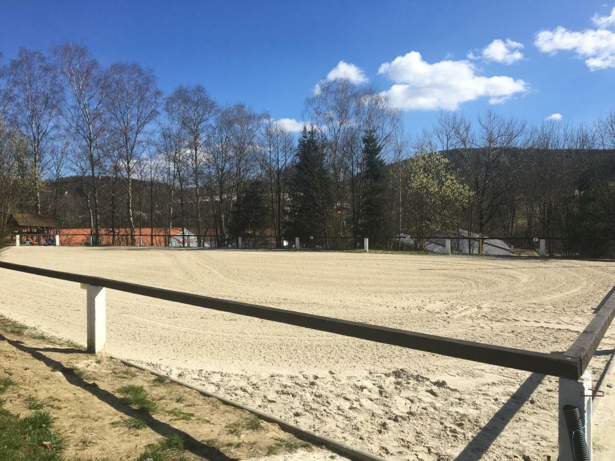 Ferienhaus "Am Bergblick" Sebnitz Exteriör bild